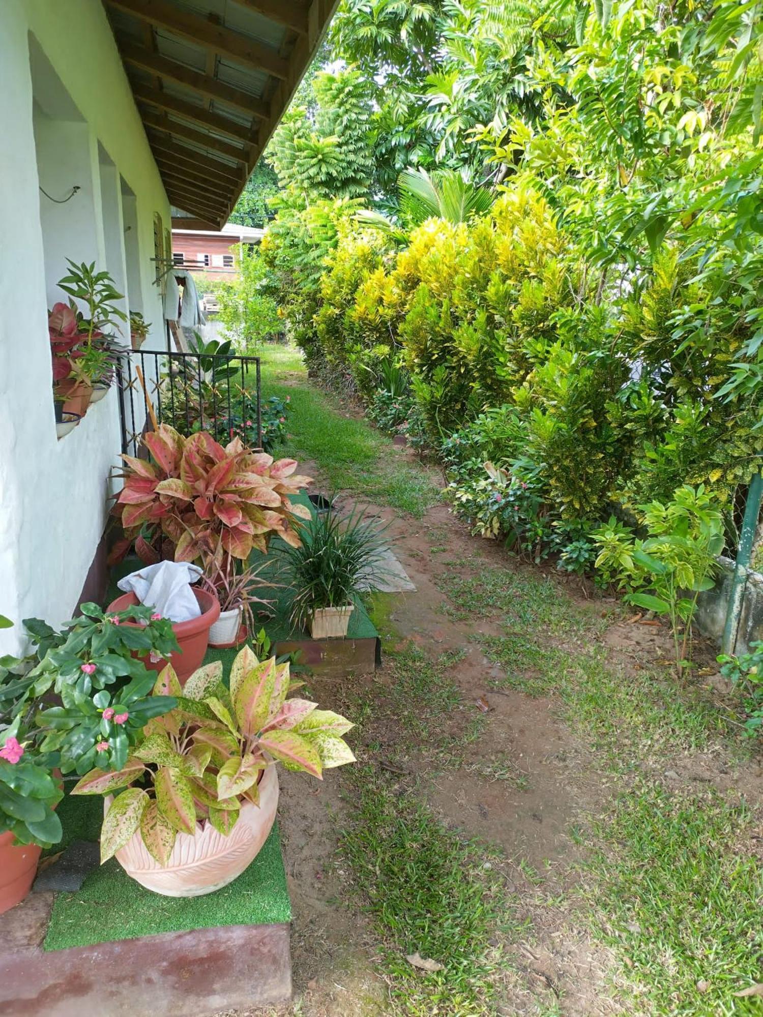 Hcs Bungalows Turtle Bay Rustic Bungalow Au Cap Exterior photo